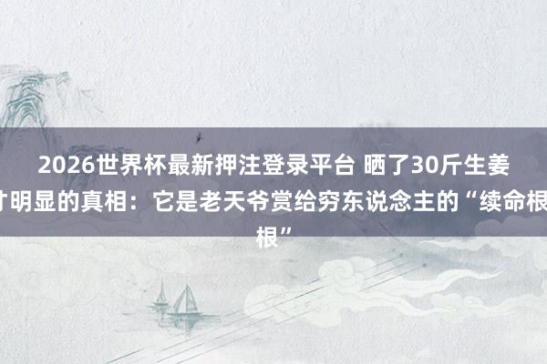 2026世界杯最新押注登录平台 晒了30斤生姜才明显的真相：它是老天爷赏给穷东说念主的“续命根”