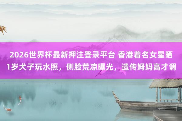 2026世界杯最新押注登录平台 香港着名女星晒1岁犬子玩水照，侧脸荒凉曝光，遗传姆妈高才调