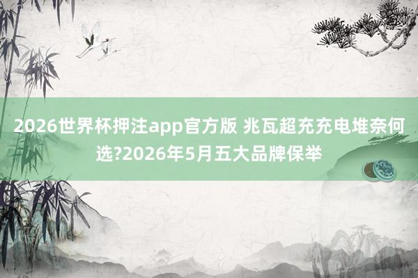 2026世界杯押注app官方版 兆瓦超充充电堆奈何选?2026年5月五大品牌保举