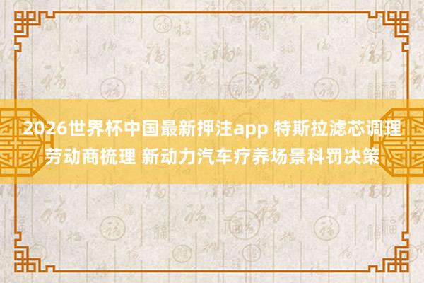 2026世界杯中国最新押注app 特斯拉滤芯调理劳动商梳理 新动力汽车疗养场景科罚决策