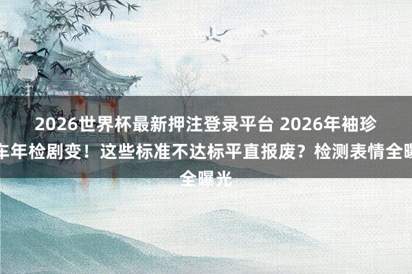 2026世界杯最新押注登录平台 2026年袖珍汽车年检剧变！这些标准不达标平直报废？检测表情全曝光
