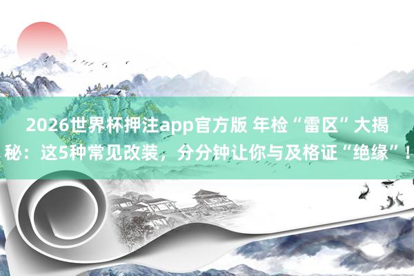 2026世界杯押注app官方版 年检“雷区”大揭秘：这5种常见改装，分分钟让你与及格证“绝缘”！