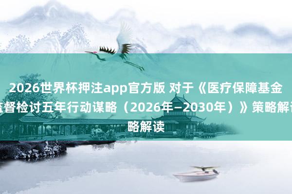 2026世界杯押注app官方版 对于《医疗保障基金监督检讨五年行动谋略(2026年—2030年)》策略解读