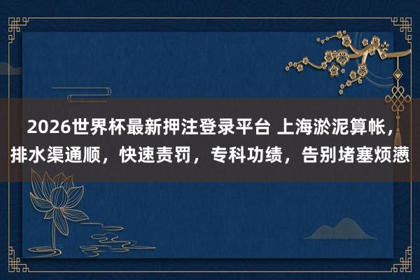 2026世界杯最新押注登录平台 上海淤泥算帐,排水渠通顺,快速责罚,专科功绩,告别堵塞烦懑