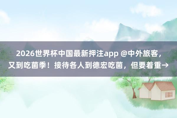 2026世界杯中国最新押注app @中外旅客，又到吃菌季！接待各人到德宏吃菌，但要着重→