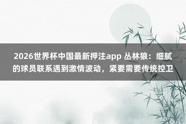 2026世界杯中国最新押注app 丛林狼:细腻的球员联系遇到激情波动,紧要需要传统控卫