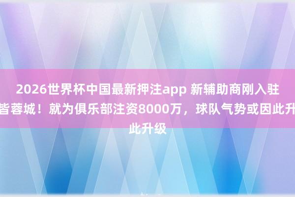 2026世界杯中国最新押注app 新辅助商刚入驻成皆蓉城!就为俱乐部注资8000万,球队气势或因此升级
