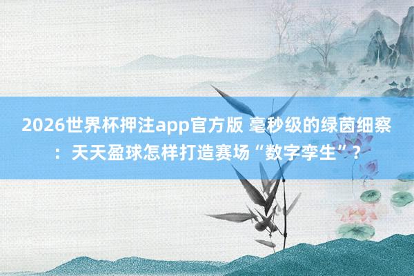 2026世界杯押注app官方版 毫秒级的绿茵细察:天天盈球怎样打造赛场“数字孪生”?