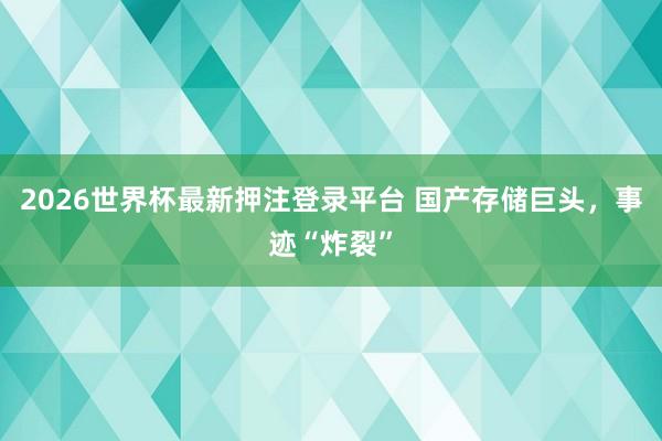 2026世界杯最新押注登录平台 国产存储巨头,事迹“炸裂”
