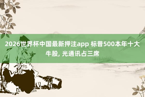 2026世界杯中国最新押注app 标普500本年十大牛股, 光通讯占三席