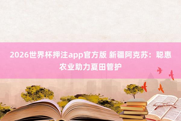 2026世界杯押注app官方版 新疆阿克苏:聪惠农业助力夏田管护