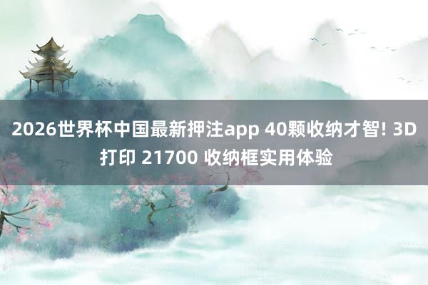 2026世界杯中国最新押注app 40颗收纳才智! 3D 打印 21700 收纳框实用体验