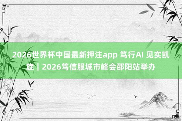 2026世界杯中国最新押注app 笃行AI 见实凯旋|2026笃信服城市峰会邵阳站举办