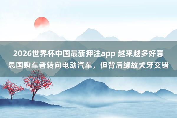 2026世界杯中国最新押注app 越来越多好意思国购车者转向电动汽车,但背后缘故犬牙交错