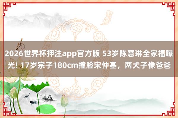 2026世界杯押注app官方版 53岁陈慧琳全家福曝光! 17岁宗子180cm撞脸宋仲基，两犬子像爸爸