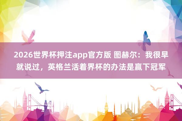 2026世界杯押注app官方版 图赫尔:我很早就说过,英格兰活着界杯的办法是赢下冠军