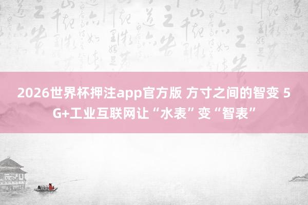 2026世界杯押注app官方版 方寸之间的智变 5G+工业互联网让“水表”变“智表”