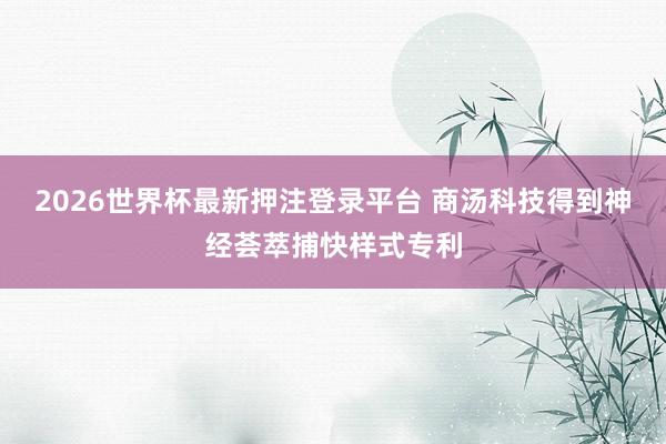 2026世界杯最新押注登录平台 商汤科技得到神经荟萃捕快样式专利