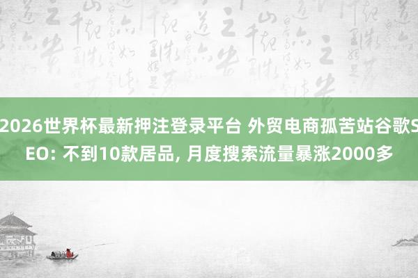 2026世界杯最新押注登录平台 外贸电商孤苦站谷歌SEO: 不到10款居品， 月度搜索流量暴涨2000多