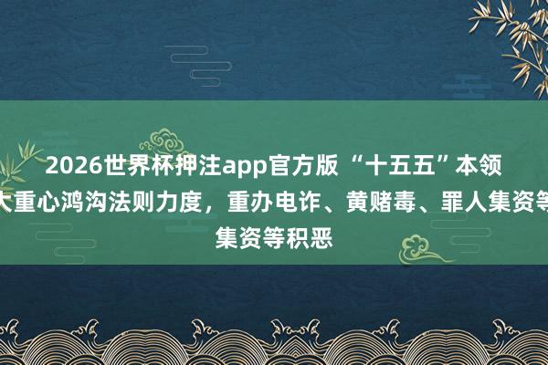 2026世界杯押注app官方版 “十五五”本领将加大重心鸿沟法则力度,重办电诈、黄赌毒、罪人集资等积恶