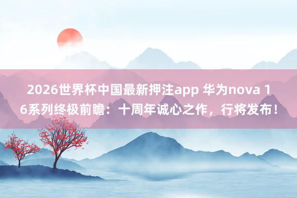 2026世界杯中国最新押注app 华为nova 16系列终极前瞻:十周年诚心之作,行将发布!