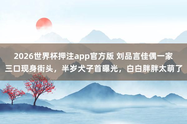 2026世界杯押注app官方版 刘品言佳偶一家三口现身街头,半岁犬子首曝光,白白胖胖太萌了