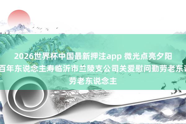 2026世界杯中国最新押注app 微光点亮夕阳情——百年东说念主寿临沂市兰陵支公司关爱慰问勤劳老东说念主