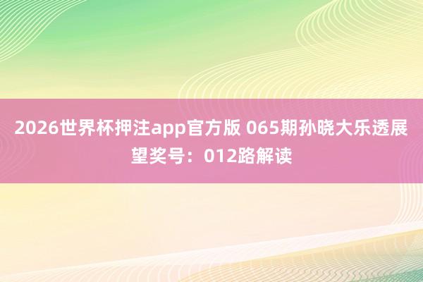 2026世界杯押注app官方版 065期孙晓大乐透展望奖号：012路解读
