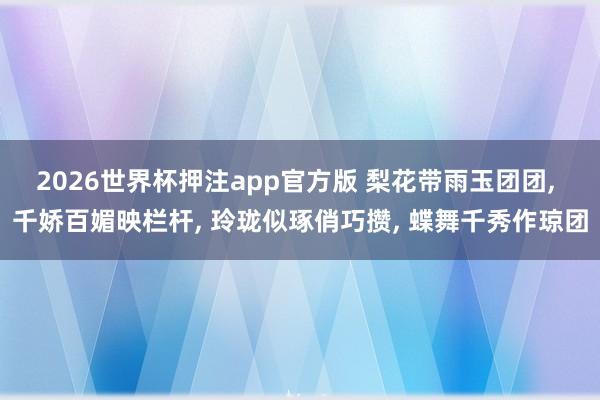 2026世界杯押注app官方版 梨花带雨玉团团， 千娇百媚映栏杆， 玲珑似琢俏巧攒， 蝶舞千秀作琼团