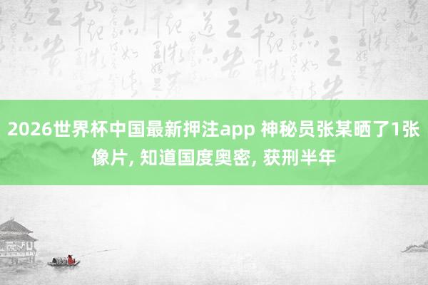 2026世界杯中国最新押注app 神秘员张某晒了1张像片， 知道国度奥密， 获刑半年