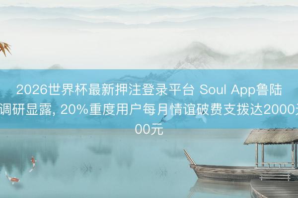2026世界杯最新押注登录平台 Soul App鲁陆: 调研显露, 20%重度用户每月情谊破费支拨达2000元