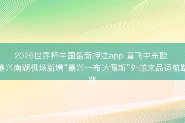 2026世界杯中国最新押注app 直飞中东欧 嘉兴南湖机场新增“嘉兴—布达佩斯”外舶来品运航路