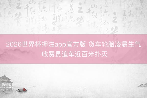 2026世界杯押注app官方版 货车轮胎凌晨生气 收费员追车近百米扑灭