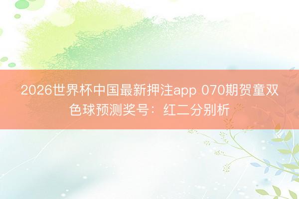 2026世界杯中国最新押注app 070期贺童双色球预测奖号:红二分别析